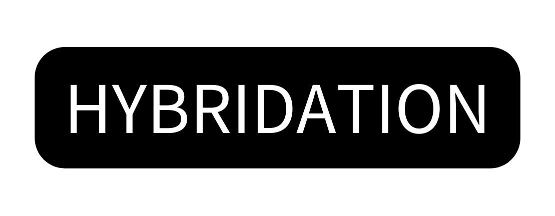 HyBRIDATION